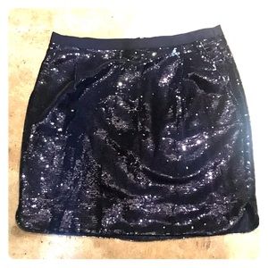J Crew Sequin Skirt NEW Size 2